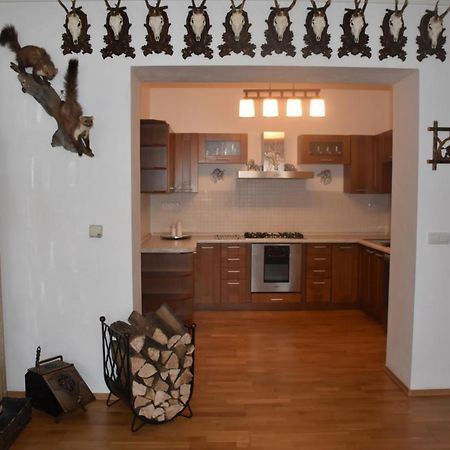 Lovecky Apartman Na Namesti Ve Frenstate Pod Radhostem Frenštát pod Radhoštěm エクステリア 写真